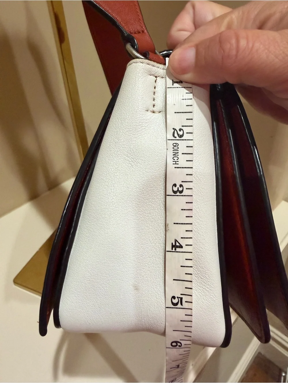 Celine Frame Calfskin Leather Shoulder Bag in Maple 🍁 & White